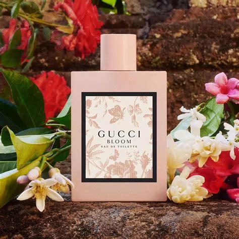 gucci bloom edp opinie|Gucci Bloom 2017.